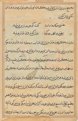 Page from Tales of a Parrot (Tuti-nama): text page