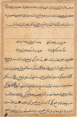 Page from Tales of a Parrot (Tuti-nama): text page