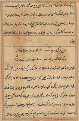 Page from Tales of a Parrot (Tuti-nama): text page