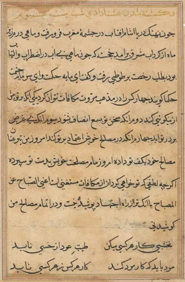 Page from Tales of a Parrot (Tuti-nama): text page
