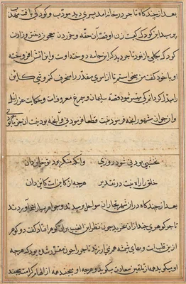 Page from Tales of a Parrot (Tuti-nama): text page