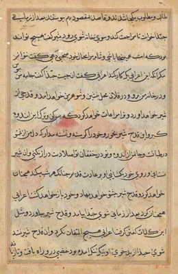 Page from Tales of a Parrot (Tuti-nama): text page