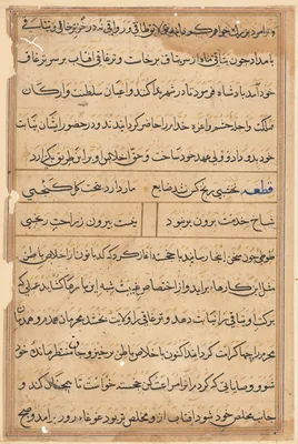 Page from Tales of a Parrot (Tuti-nama): text page