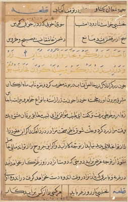 Page from Tales of a Parrot (Tuti-nama): text page
