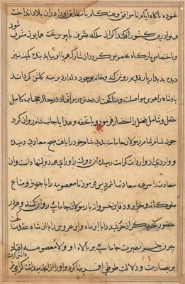 Page from Tales of a Parrot (Tuti-nama): text page