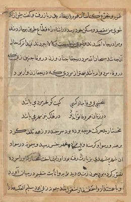 Page from Tales of a Parrot (Tuti-nama): text page