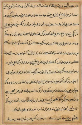 Page from Tales of a Parrot (Tuti-nama): text page