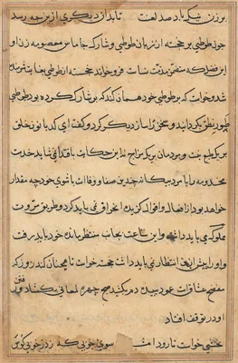 Page from Tales of a Parrot (Tuti-nama): text page