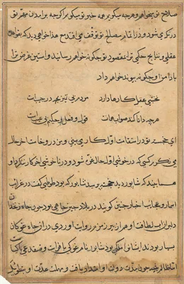 Page from Tales of a Parrot (Tuti-nama): text page