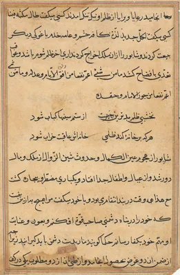 Page from Tales of a Parrot (Tuti-nama): text page