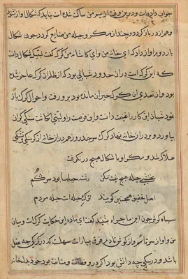 Tuti-Nama (Tales of a Parrot)