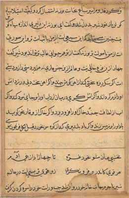 Page from Tales of a Parrot (Tuti-nama): text page