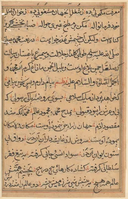 Page from Tales of a Parrot (Tuti-nama): text page