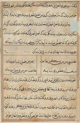 Page from Tales of a Parrot (Tuti-nama): text page