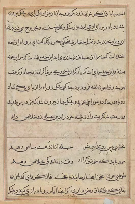 Page from Tales of a Parrot (Tuti-nama): text page