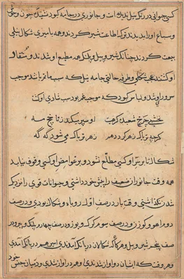 Page from Tales of a Parrot (Tuti-nama): text page