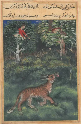 The donkey, in a tiger’s skin, reveals his identity by braying aloud, from a Tuti-nama (Tales of a Parrot): Thirty-first Night — Basawan