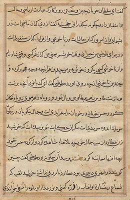 Page from Tales of a Parrot (Tuti-nama): text page