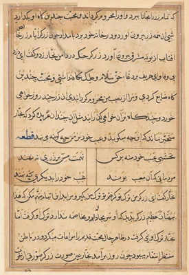 Page from Tales of a Parrot (Tuti-nama): text page