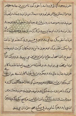 Page from Tales of a Parrot (Tuti-nama): text page