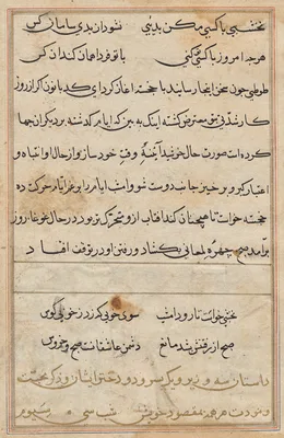 Page from Tales of a Parrot (Tuti-nama): text page