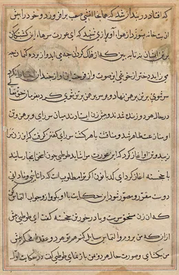 Page from Tales of a Parrot (Tuti-nama): text page