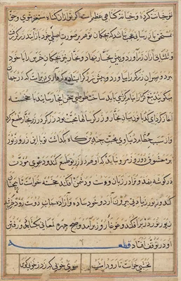 Page from Tales of a Parrot (Tuti-nama): text page