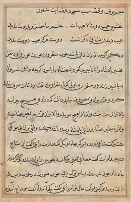Page from Tales of a Parrot (Tuti-nama): text page