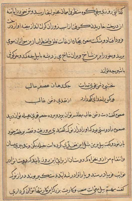 Page from Tales of a Parrot (Tuti-nama): text page