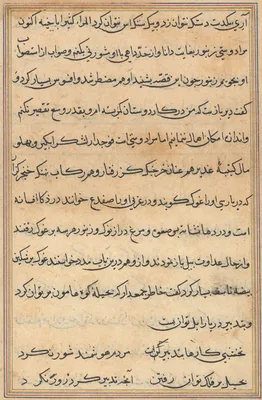 Page from Tales of a Parrot (Tuti-nama): text page
