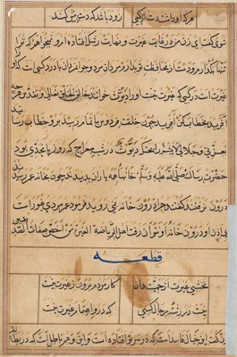 Page from Tales of a Parrot (Tuti-nama): text page