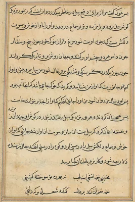 Page from Tales of a Parrot (Tuti-nama): text page