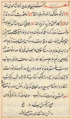 Page from Tales of a Parrot (Tuti-nama): text page