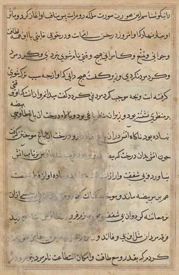 Page from Tales of a Parrot (Tuti-nama): text page