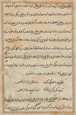 Page from Tales of a Parrot (Tuti-nama): text page