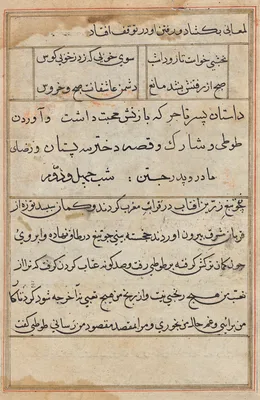 Page from Tales of a Parrot (Tuti-nama): text page