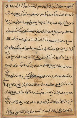 Page from Tales of a Parrot (Tuti-nama): text page