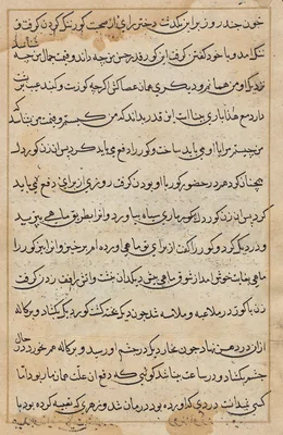 Page from Tales of a Parrot (Tuti-nama): text page