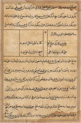 Page from Tales of a Parrot (Tuti-nama): text page