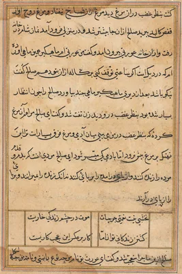 Page from Tales of a Parrot (Tuti-nama): text page