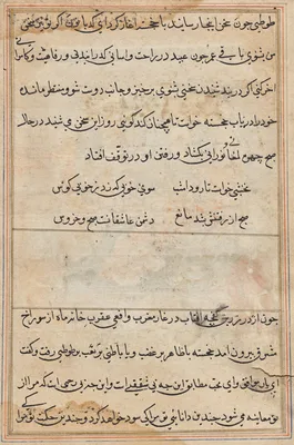 Page from Tales of a Parrot (Tuti-nama): text page
