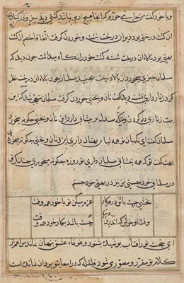Page from Tales of a Parrot (Tuti-nama): text page