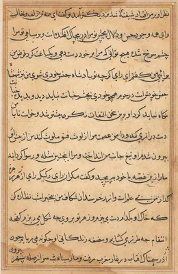 Page from Tales of a Parrot (Tuti-nama): text page