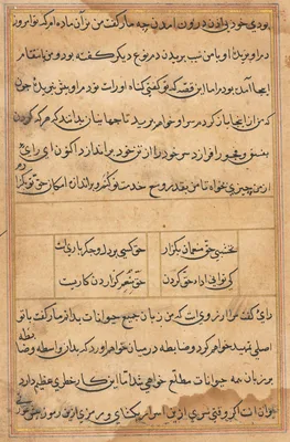 Page from Tales of a Parrot (Tuti-nama): text page