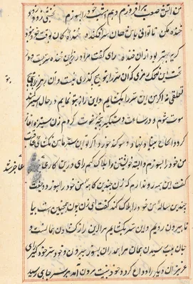 Page from Tales of a Parrot (Tuti-nama): text page