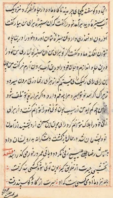 Page from Tales of a Parrot (Tuti-nama): text page