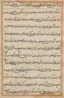 Page from Tales of a Parrot (Tuti-nama): text page