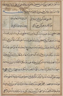 Page from Tales of a Parrot (Tuti-nama): text page