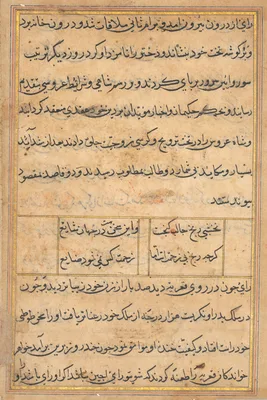 Page from Tales of a Parrot (Tuti-nama): text page