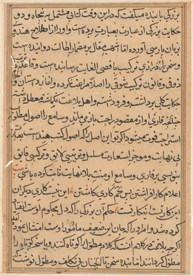 Page from Tales of a Parrot (Tuti-nama): text page